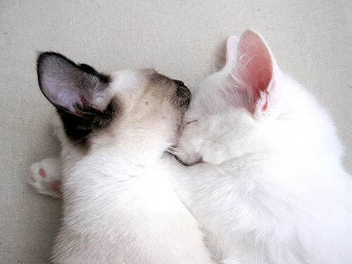 库里存在感拉满,76人粉碎山西队,一场跨越时空的篮球对话