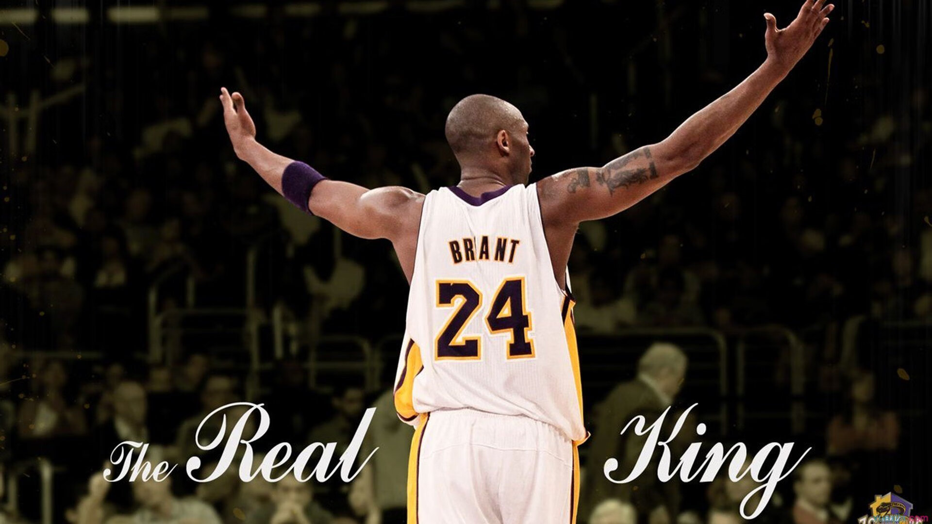 猛龙封锁山西队，拉梅洛成为关键先生，一场战术与天赋的完美胜利