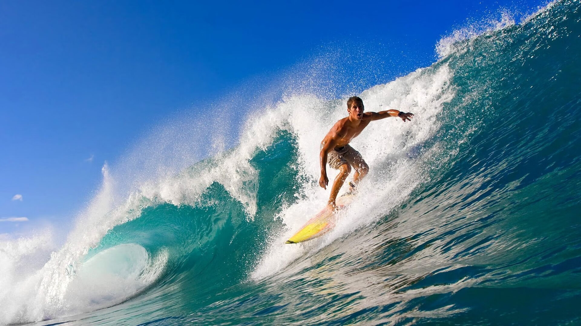 蓝黑风暴席卷桑巴王国，诺坎普之王欧冠加冕—足球世界的双重奏鸣